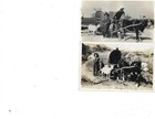 5 DIFFERENT RPPC REAL PHOTO ORVILLE EWING PRITCHETT CO ANIMALS WAGONS WEST LIVES — photo 3