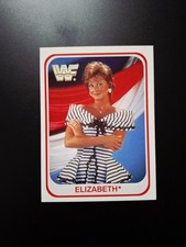 Rare E1izabeth 1991 Merlin Card 85 WWE WWF Wrestling - German Version 