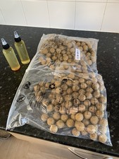 Boilies Glug Pot and Bag Bait Set