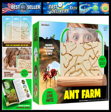 Dan Darci Ant Farm Kit for Kids - Farms Colony - Includes Ants Voucher - Sand Ha