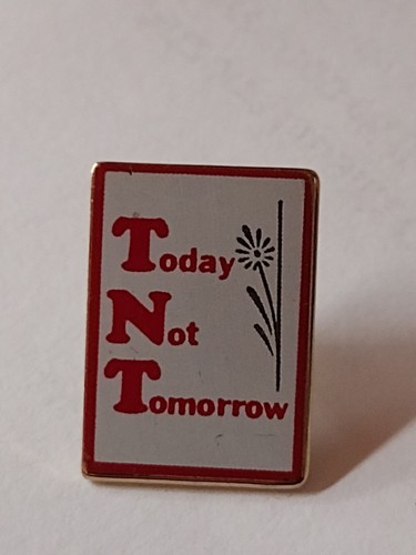 Today Not Tomorrow Lapel Tack Pin - Picture 5 of 5
