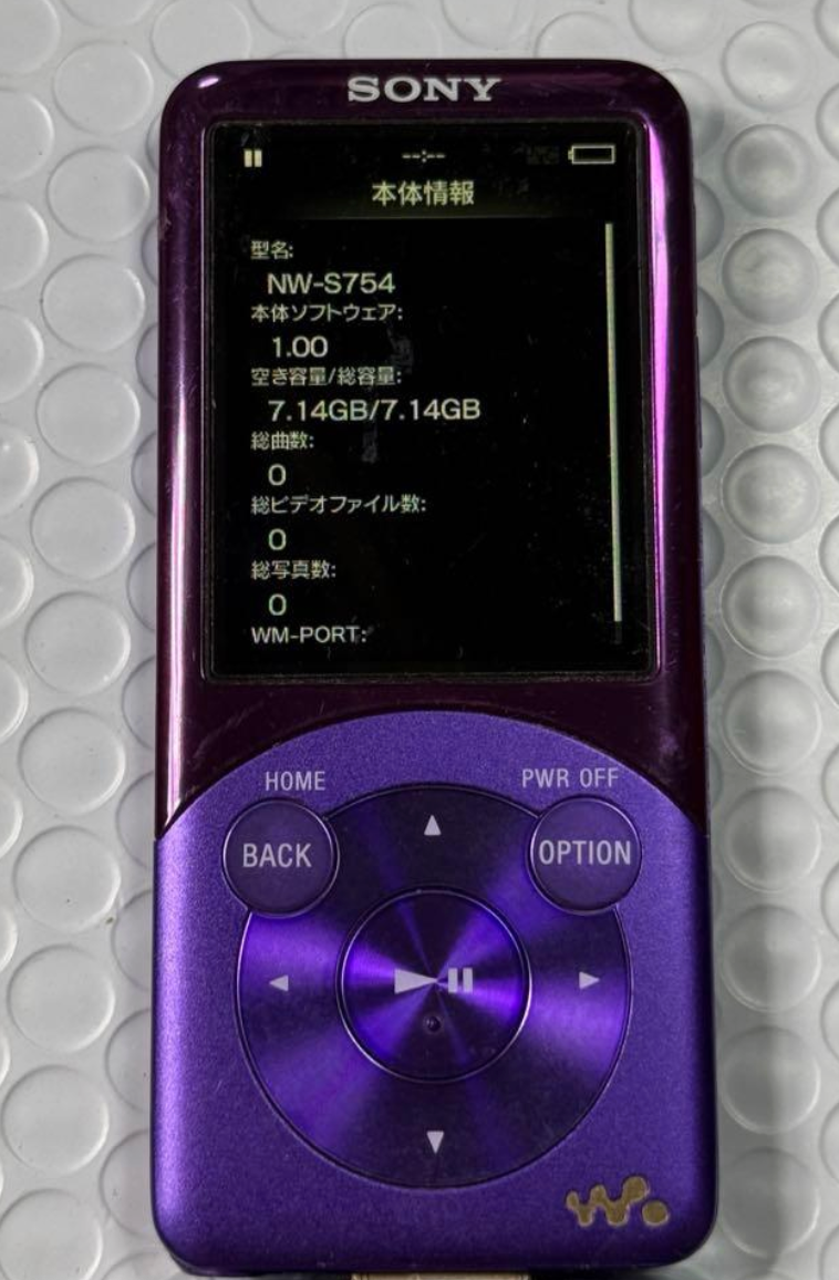 Sony NW-A55 16GB Walkman Hi-Res Digital Music Player with 16GB