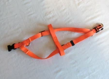 Bright Orange Pet Champion Dog Harness Size S