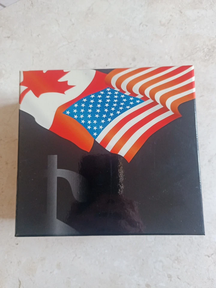 Minichamps 1/43 Porsche 917/30 Canaan Champion 1973 ed. limitata 9.999 pezzi - Immagine 2 di 4