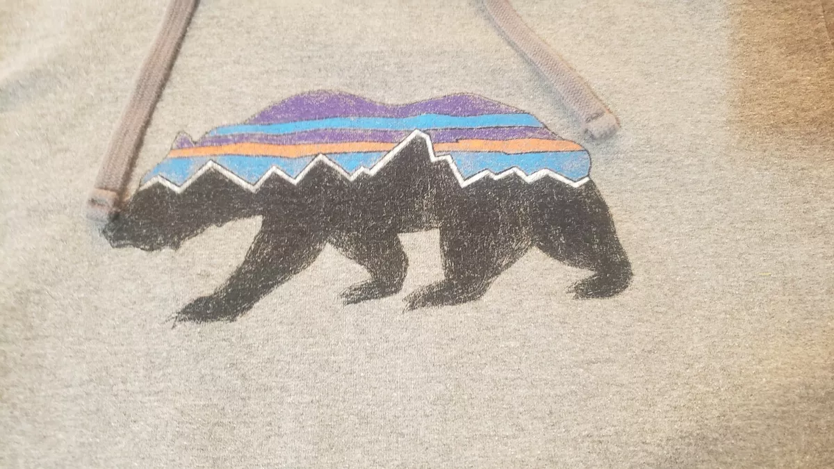 Patagonia Fitz Roy Mountain Bear Uprisal Gray Hoodie Sweatshirt Size Small