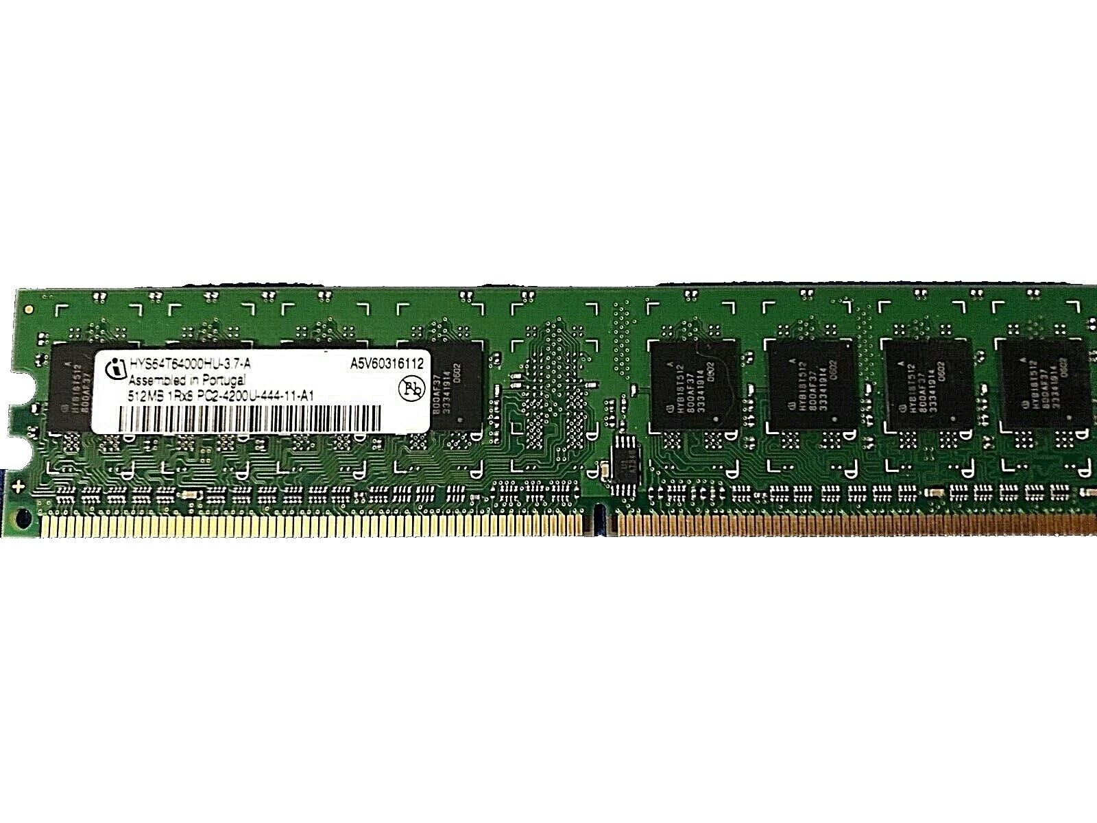 Infineon DIMM Computer Memory (RAM 512 MB Capacity per Module) 2 Modules