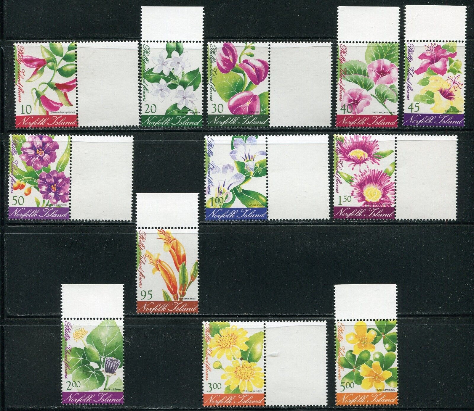 Norfolk Island 767 - 778 Phillip Island Flowers Complete Stamp Set MNH 2002 