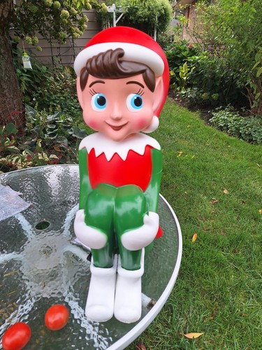 Knee Hugger Pixie Blasform von Holiday Living Brandneu! Im Handel ausverkauft! - Bild 23 von 23