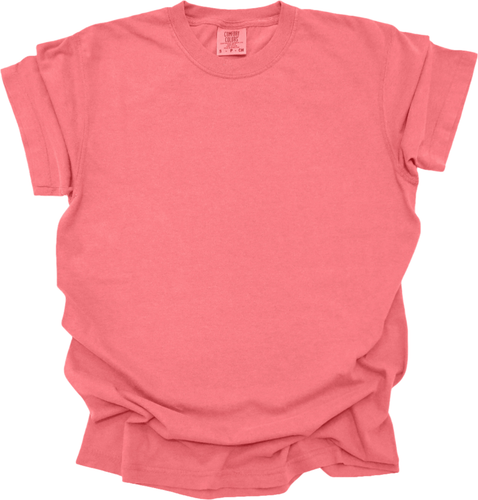 Blank Comfort Colors 1717 Women’s T-Shirt (Multiple Colors) - Picture 39 of 124
