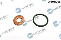 Dr.Motor Automotive DRM0266 Dichtungssatz, EinspritzdüSe For Audi Seat Skoda VW