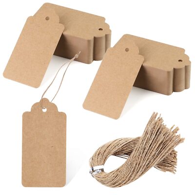 100 Pack 2x4 Inch Kraft Paper Tags with Strings for DIY Crafts Arts Gift Bags