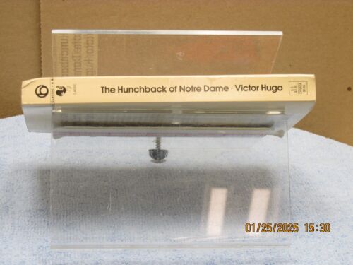 The listing is for the book The Hunchback of Notre Dame by Victor Hugo-Paperback - Picture 3 of 5