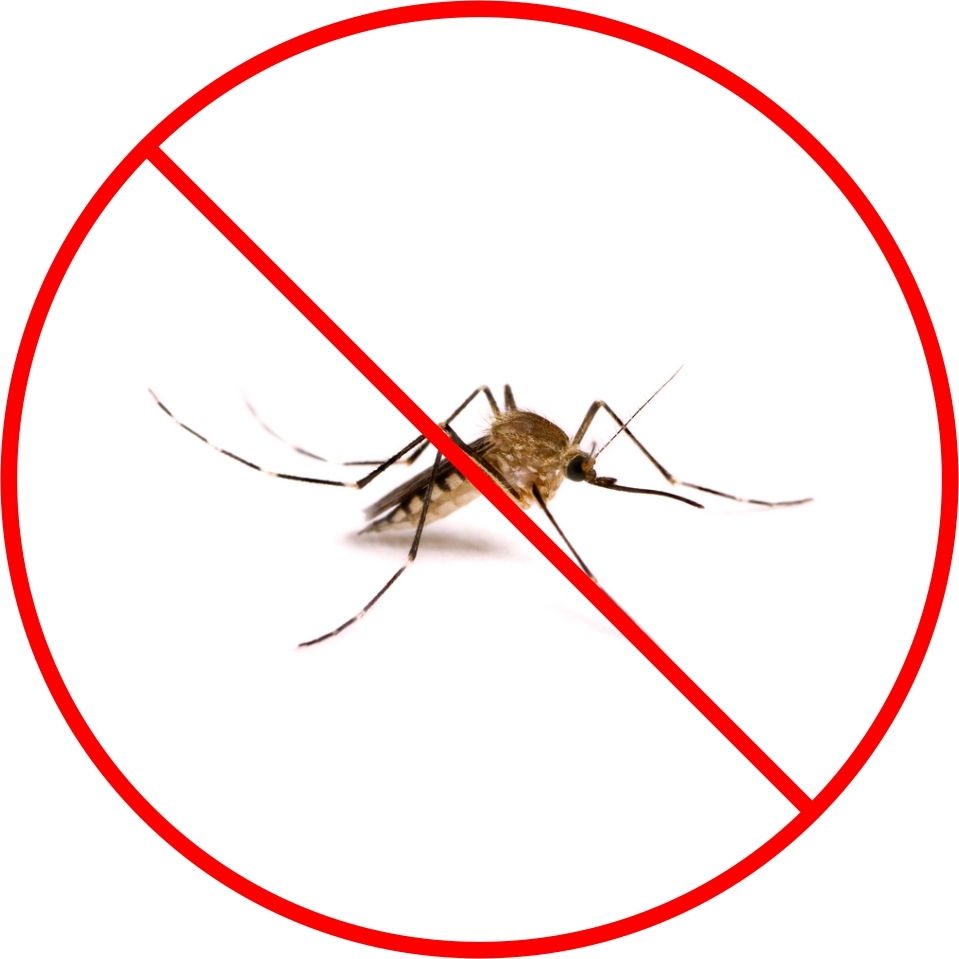 New Burgess Insect Mosquito Bug Propane Fogger Sprayer | eBay