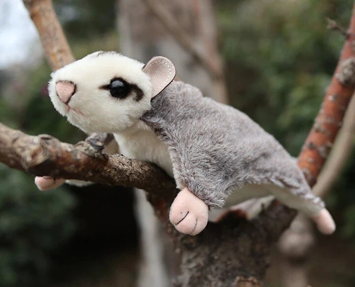 21cm Squirrel Sugar Glider Hanging Stuffed Animal Plush Toys
