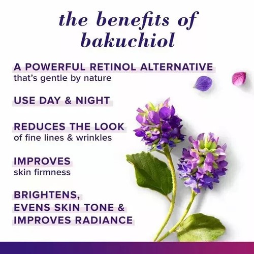 2 x Burt's Bees Renewal Straffende Feuchtigkeitscreme ~ DUFTFREI ~ 1,8 Oz. - Bild 5 von 8