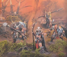 Warhammer AoS Underworlds Darkoath Raiders The Gnarlspirit Pack NEW w/CARDS