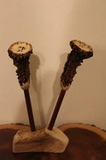 2 Custom Made Strikers with Roe Deer  Shed Antler Top on them