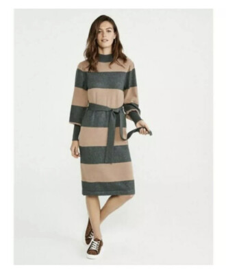 Ann Taylor NWT $150 Sz M Sweater Dress Striped Turtleneck Beige Green