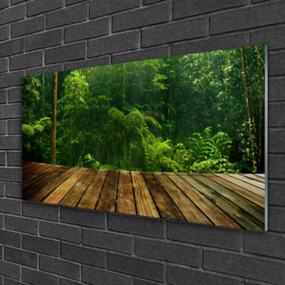 Wandbilder aus Plexiglas  100x50 Acrylglasbild Wald Natur