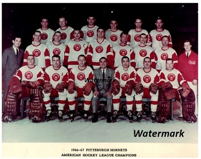 pittsburgh hornets jersey