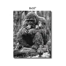 vintage art print sasquatch and the little birds bigfoot decor