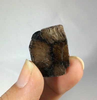 Chiastolite Specimen 170826 Stone of Balance and Stability Metaphysical Reiki