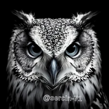 Digital Image Picture Photo Wallpaper Background Desktop AI Art Sample Product