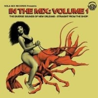 Various Artists - In The Mix Volume 1 - Vinyl Record Vl - G3Z