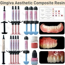 Dental Gingiva Aesthetic Resin Gum Pink 3D Composite Resin Syringe Adhesive Kit