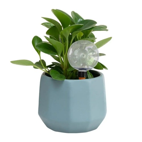 2pcs Automatic Drip Irrigation Ball Insert Type Flower Pot Seepage Water Globes - Picture 6 of 13