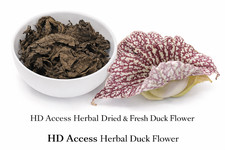 Dried Duck Flower   Whole Botanical  Traditional Herbal Tea  Natural Air-Dried