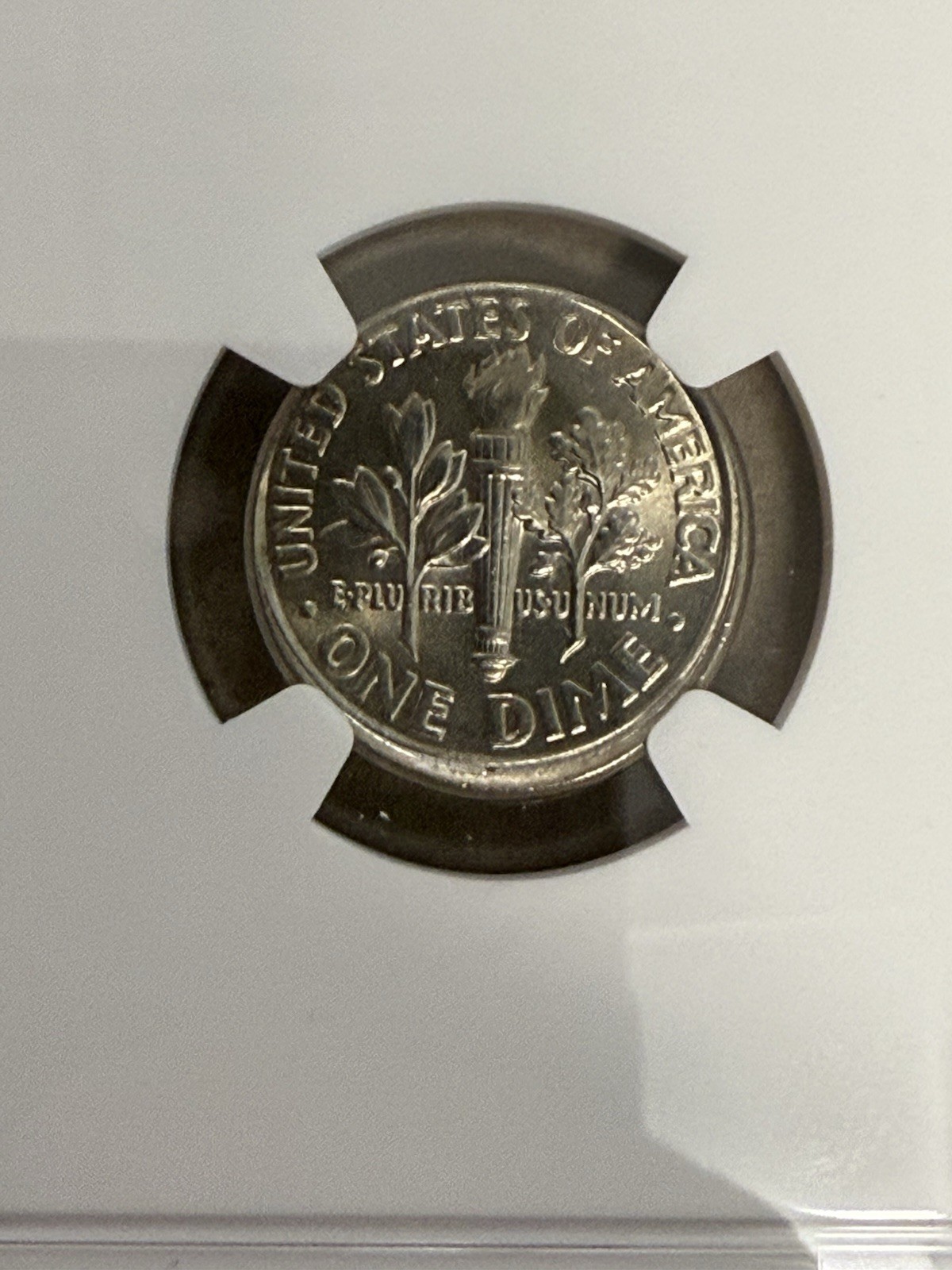 Picture 10 of 11