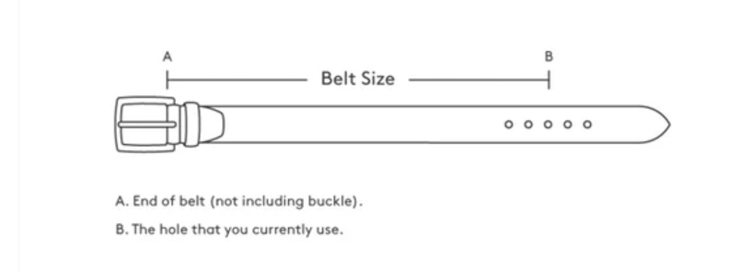 Kippy’s Belt with Buckle Western Ornate Lions Wings Metal 30 eBay