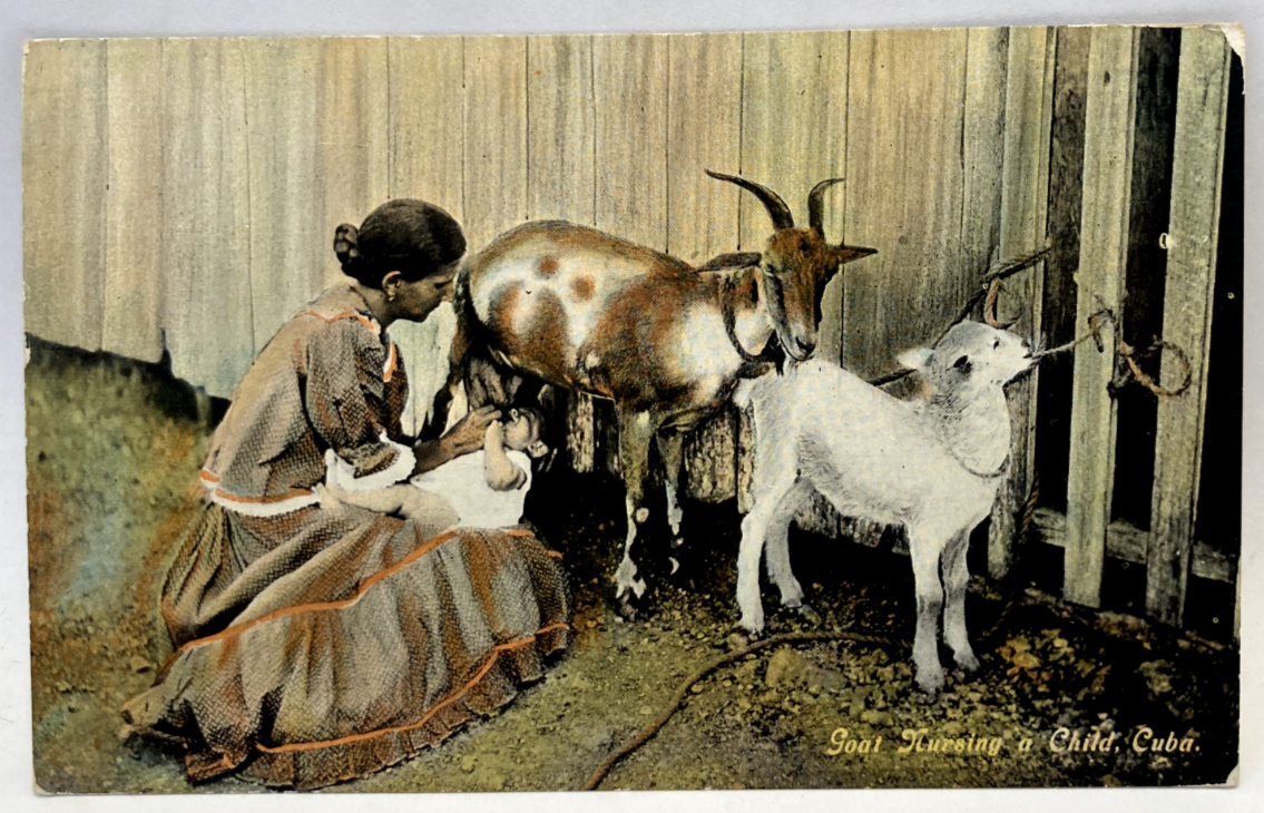 Goat Nursing A Child, Cuba, Vintage Postcard
