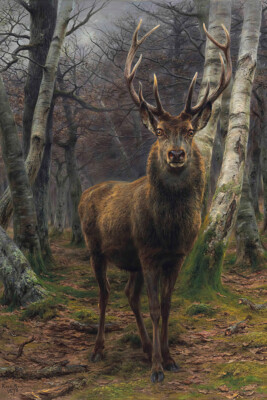 The King of the Forest 1878 by Rosa Bonheur Museum Giclee Art Print Ships Free