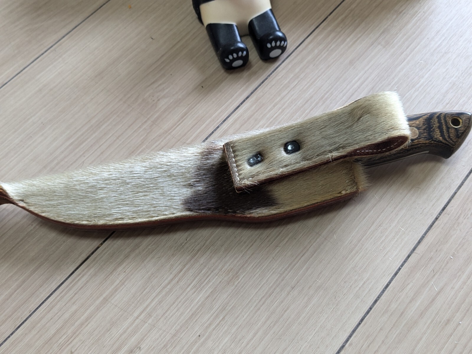Bild 9 von 12