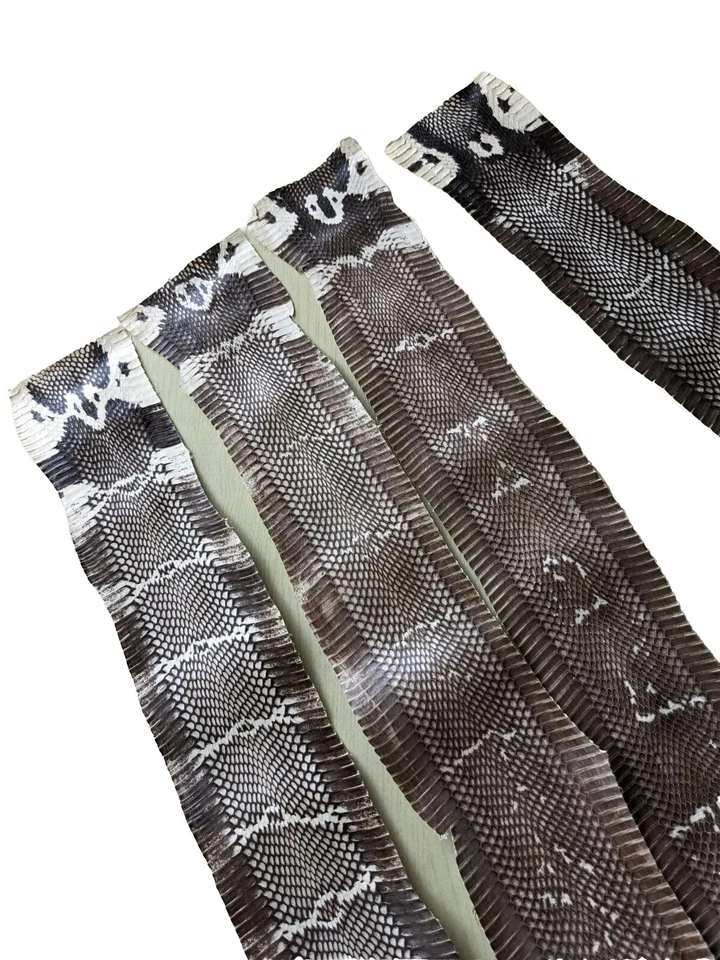 Asia Cobra Snake Skin w/ Hood Mark Snakeskin Hide Leather without Hole - Image 4 of 4
