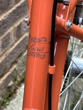 Raleigh Bike
