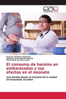 El Consumo De HeroíNa En Embarazadas Y Sus Efectos En El Neonato Stefany Hamilto