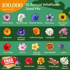 Seedphony 21 Annual Wildflower Mix 4 oz Non-GMO Seeds 179.96 per gallon