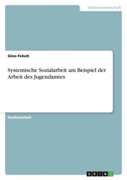 Systemische Sozialarbeit Am Beispiel Der Arbeit Des Jugendamtes Gino Felsch-image