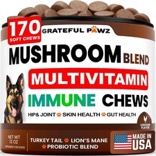 Mushroom Supplement for Dogs - 170 Chews - Mushrooms for Dogs - Reis