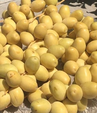 14 LB YELLOW BARHI DATRS ... CALIFORNIA FRESH.