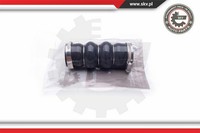 Esen SKV Ladeluftschlauch FüR CitroëN C4 Picasso I 1.6 Hdi Peugeot 307 SW