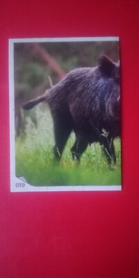 Edeka Sticker ''Here & Now for Regional Agriculture'' No. 019