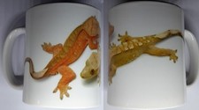 Crested Gecko Mug  Crestie Reptiles