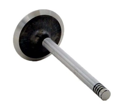 EngineTech Chrome Stem Intake Valve Pack of 1 Direct Fit