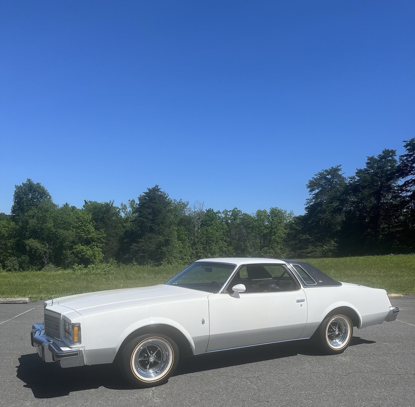 1977 Buick Regal for sale in Gainesville Virginia