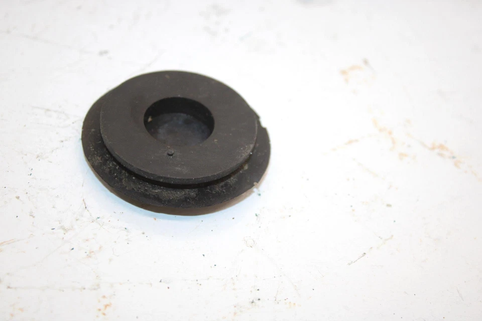 Enchufe de orificio original Polaris Xcf 5410820 SP6 Foto 4 de 4