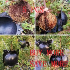 5/10 PCS Plant Rooting Device High Pressure Propagation Ball Box Grafting 